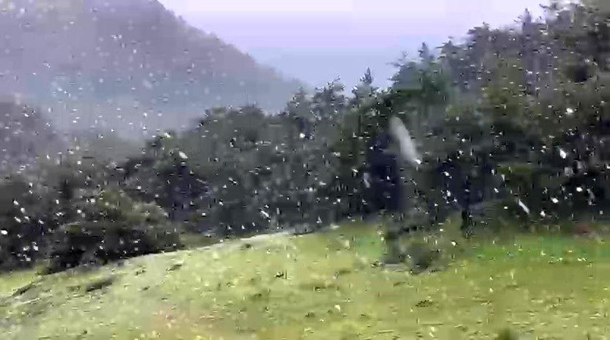 Akdağ'da Haziran ayına günler kala kar sürprizi