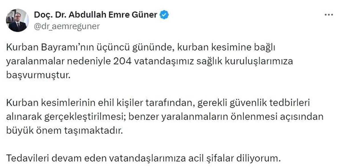 İstanbul İl Sağlık Müdürü Güner: 'Kurban Bayramı'nın üçüncü gününde 204 kişi yaralandı'