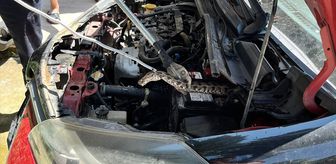 Adana'da otomobilin motor bölümüne giren yılanı itfaiye ekipleri çıkardı