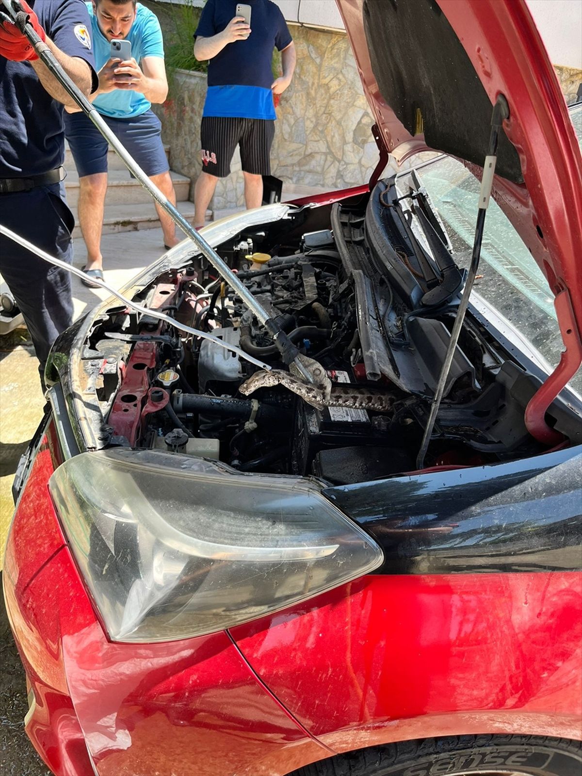 Adana'da otomobilin motor bölümüne giren yılanı itfaiye ekipleri çıkardı