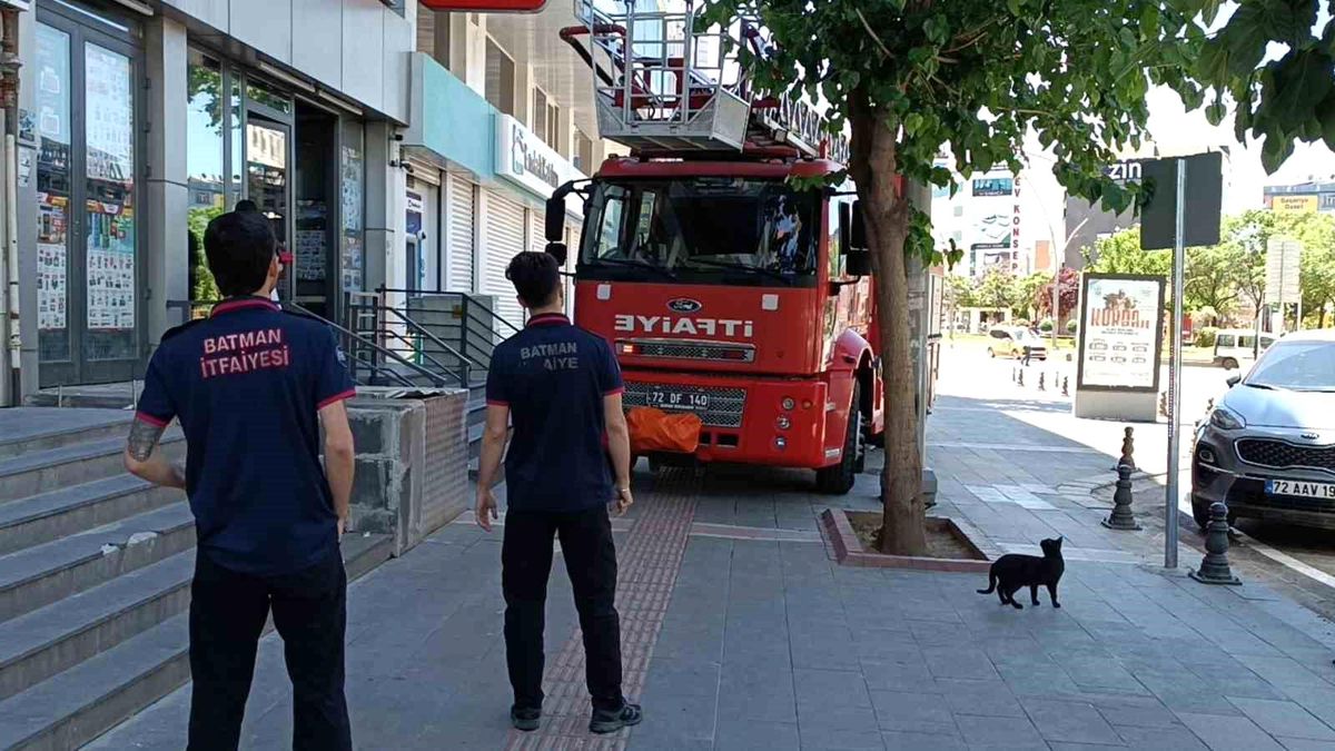 Batman'da vefakar kedi arkadaşını yalnız bırakmadı