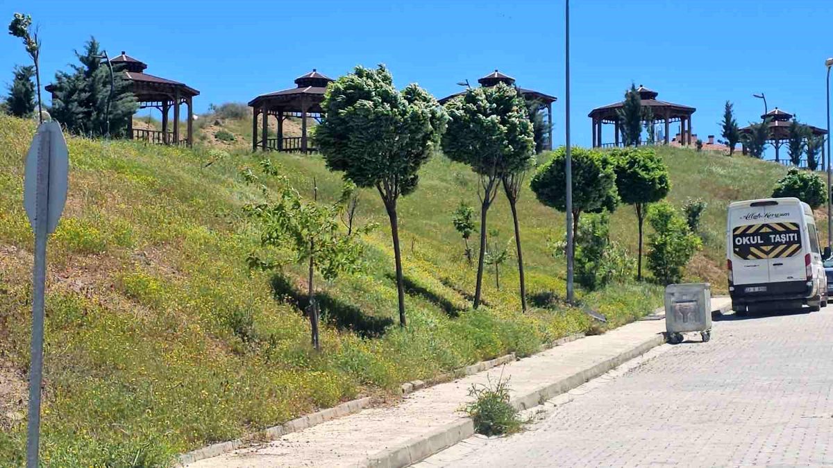 Elazığ'da şiddetli rüzgar etkili oldu