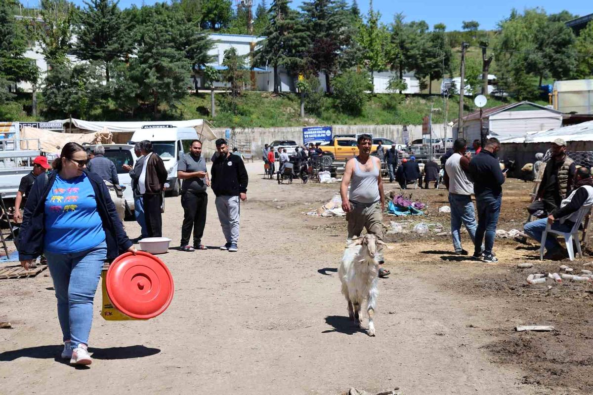 Elazığ hayvan pazarında hareketlilik sürüyor