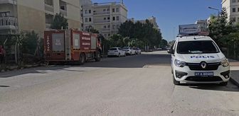 Nusaybin'de yangın çıkan odunluk kullanılamaz hale geldi