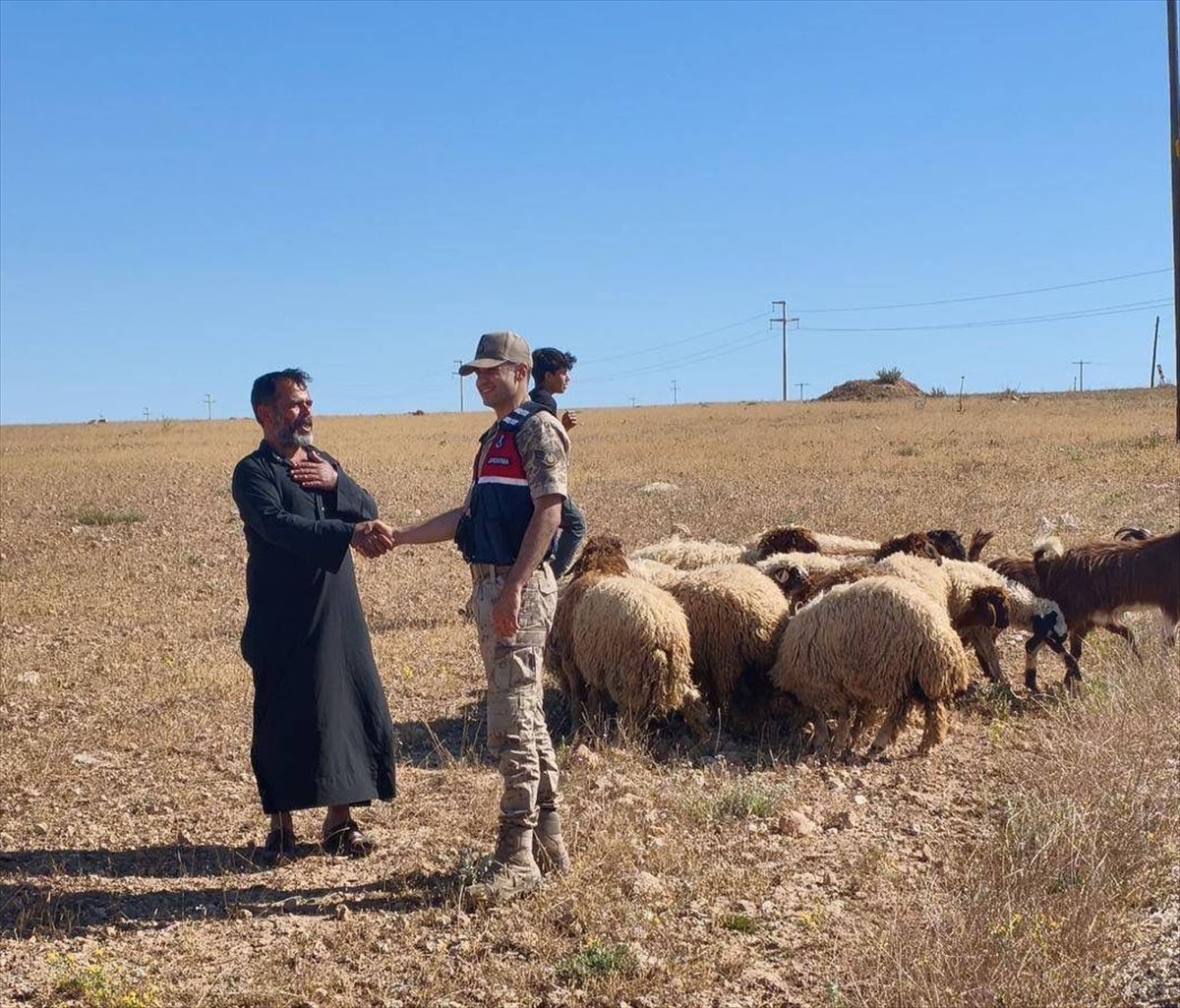 Şanlıurfa'da kaybolan küçükbaş hayvanlar dronla bulundu