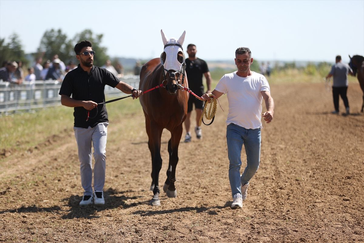 Yağlı güreş organizasyonunda ''at yarışı'' etkinliği