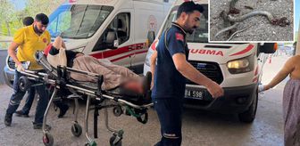 Gider deliğine sıkıştırdığı yılana ateş açtı, evin dışındakileri vurdu: 5 yaralı