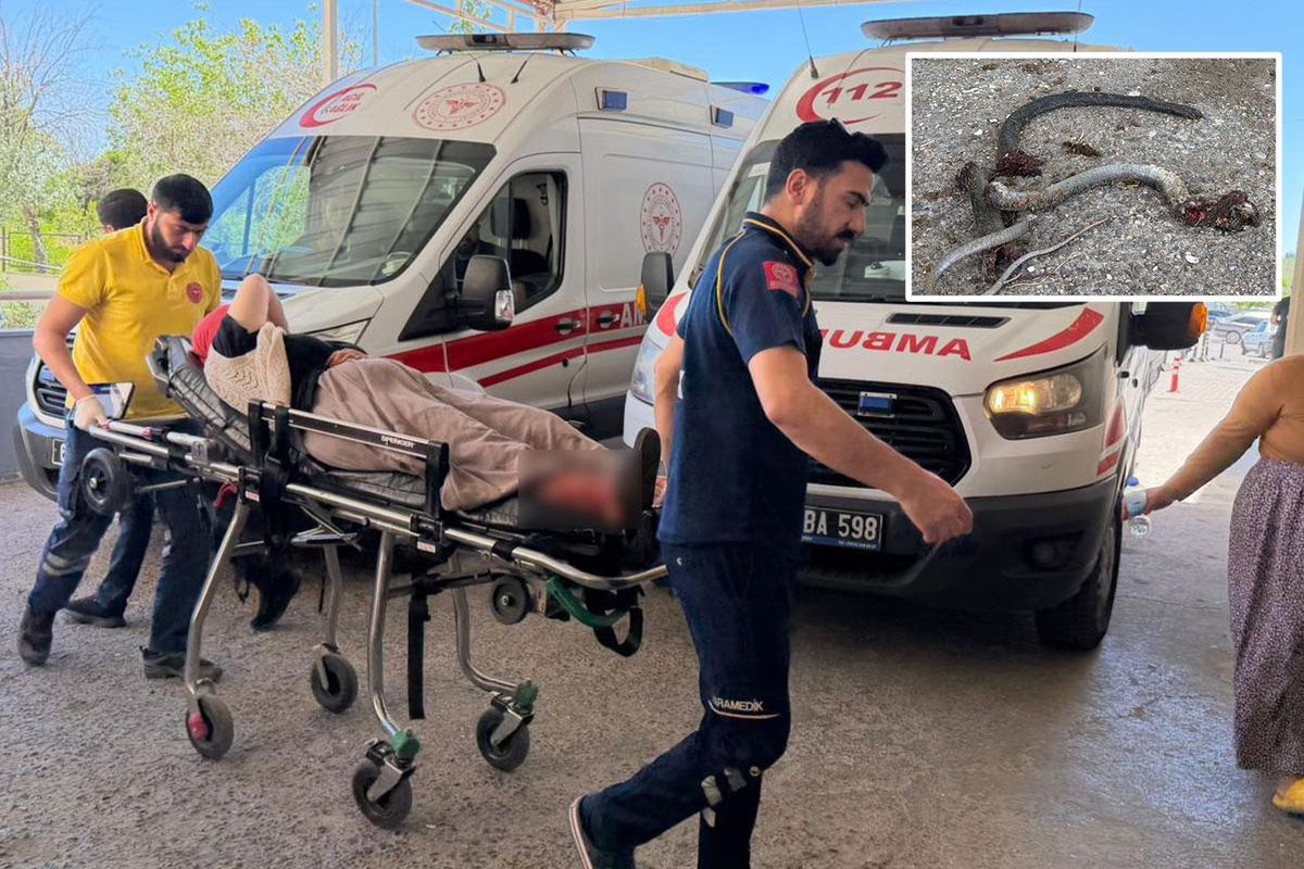 Gider deliğine sıkıştırdığı yılana ateş açtı, evin dışındakileri vurdu: 5 yaralı