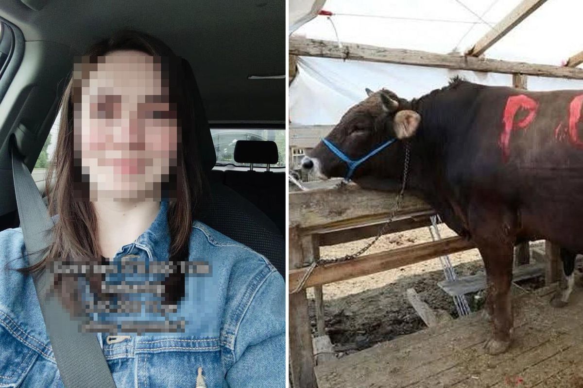 370 bin TL'lik kurbanı 210 bin TL'ye aldı, sorduğu soru olay oldu
