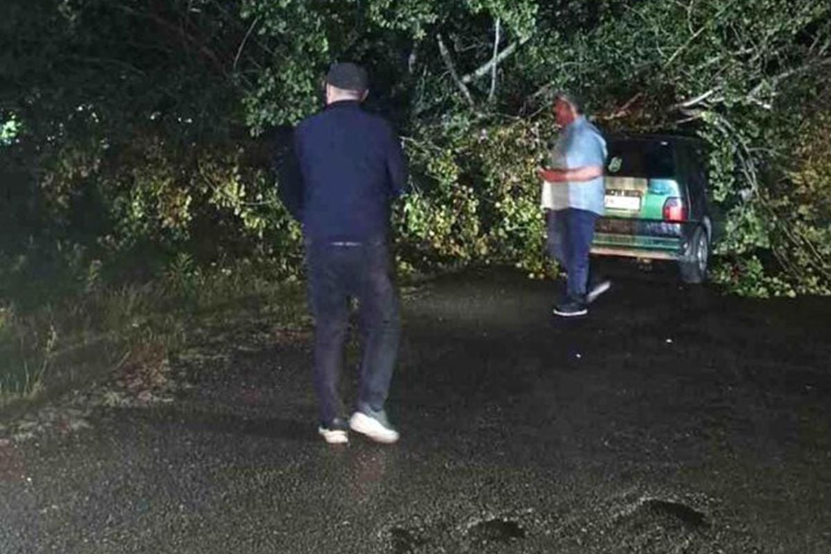 Bartın'da şiddetli fırtına: Ağaçlar otomobillerin üzerine devrildi