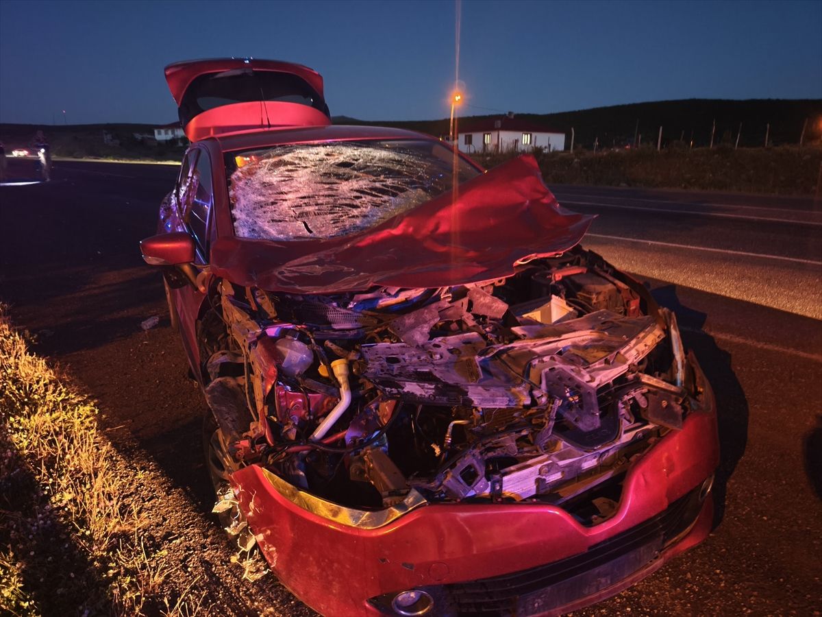 Bingöl'de ineğe çarpan otomobildeki 1 kişi yaralandı