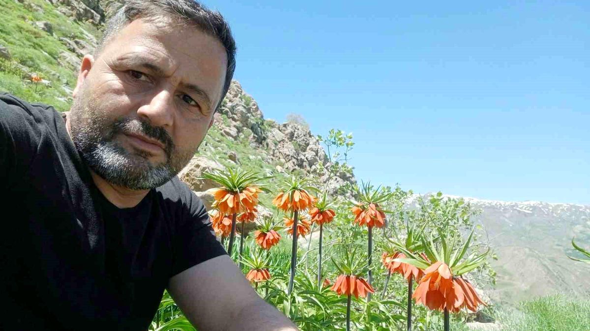 Hakkari'de 2 bin 700 rakımda ters laleler görüntülendi
