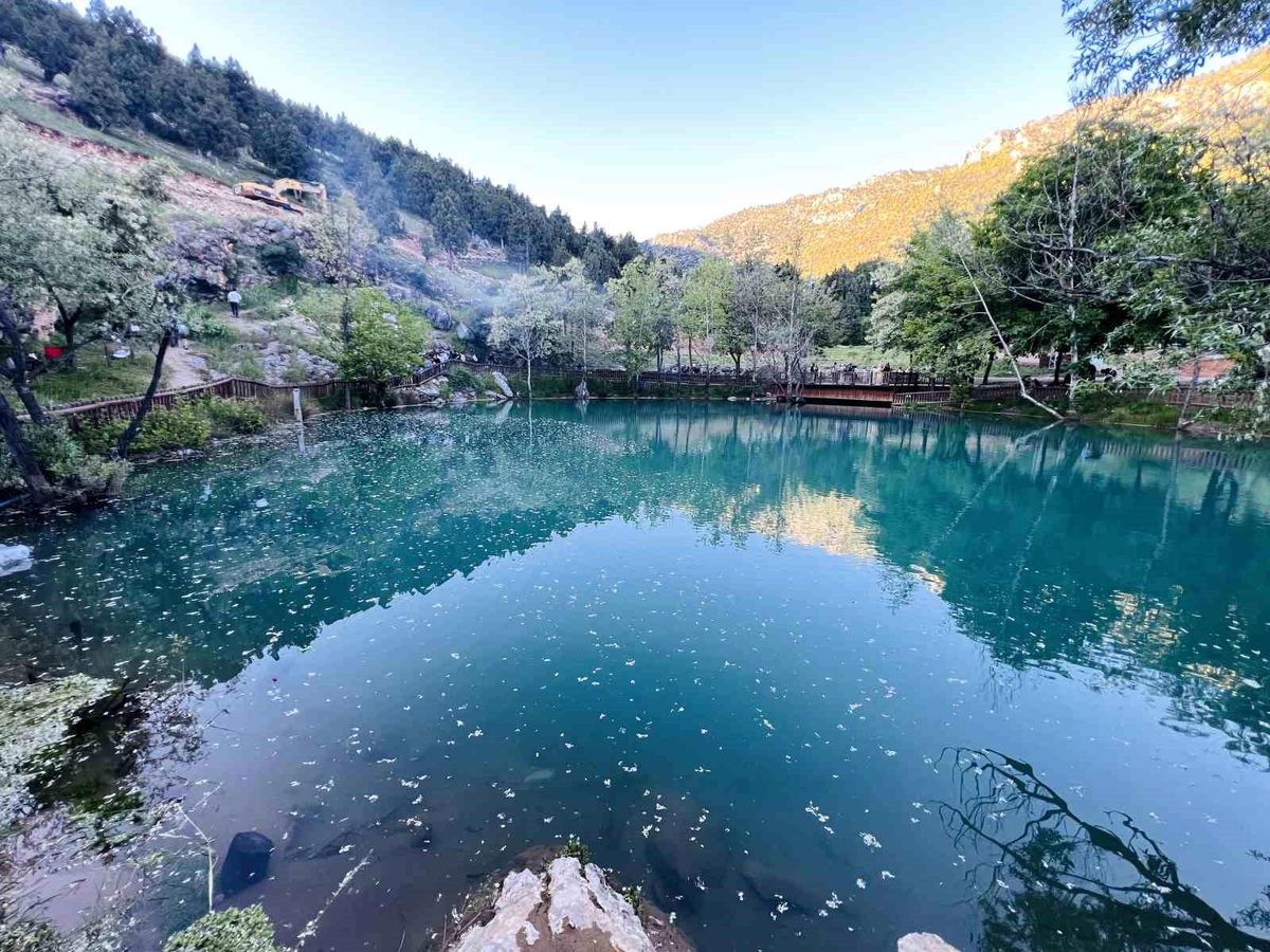 Kahramanmaraş'ta 'Yeşilgöz' göz kamaştırıyor