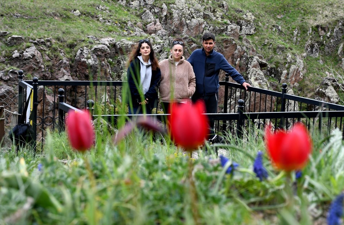 Sarıkamış'ta Ekoturizm Alanı rengarenk çiçeklere büründü