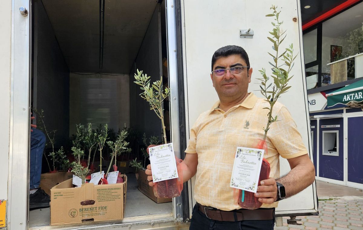 5 bin zeytin fidanı dağıtıp, oğlunun düğününe çağırdı