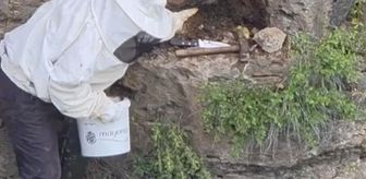 Bir çoban, kaya oyuğunda tesadüfen hazine değerinde doğal bal buldu