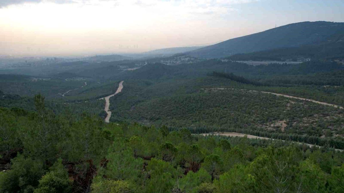 İzmir'de ormanlara giriş yasağı başladı