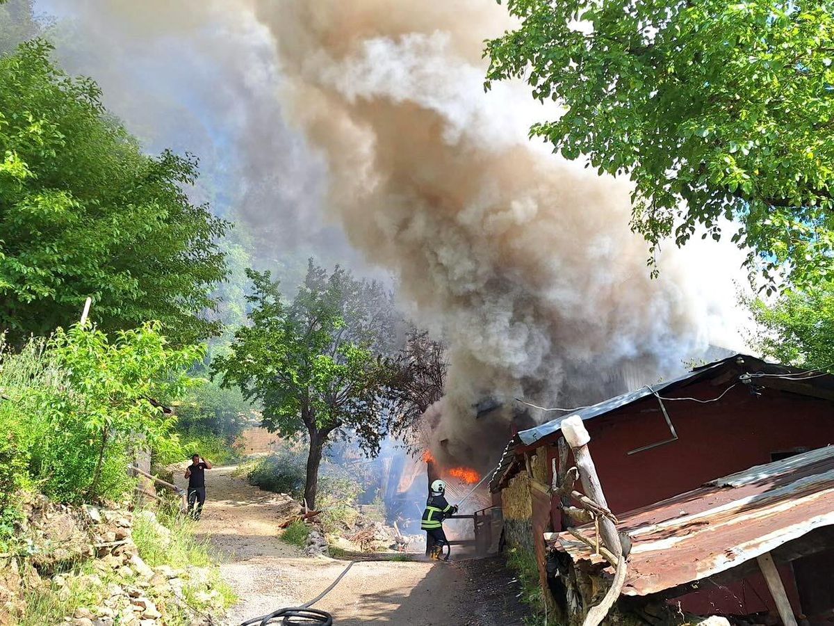 Kozan'da yayla evindeki yangın ormana sıçradı, ekipler müdahale ediyor