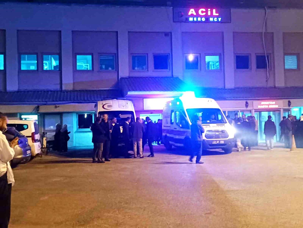 Muş Bulanık'ta trafik kazası: 2 yaralı