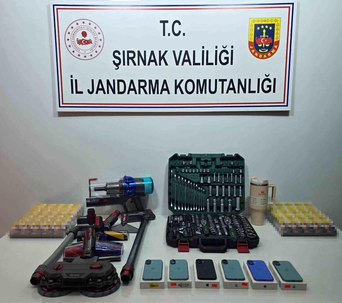 Şırnak'ta jandarmadan asayiş, kaçakçılık ve narkotik operasyonu