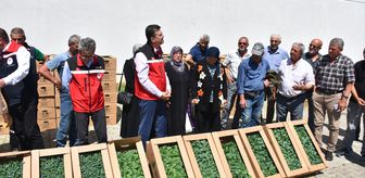 Tekirdağ'da üreticilere yazlık sebze fidesi dağıtıldı