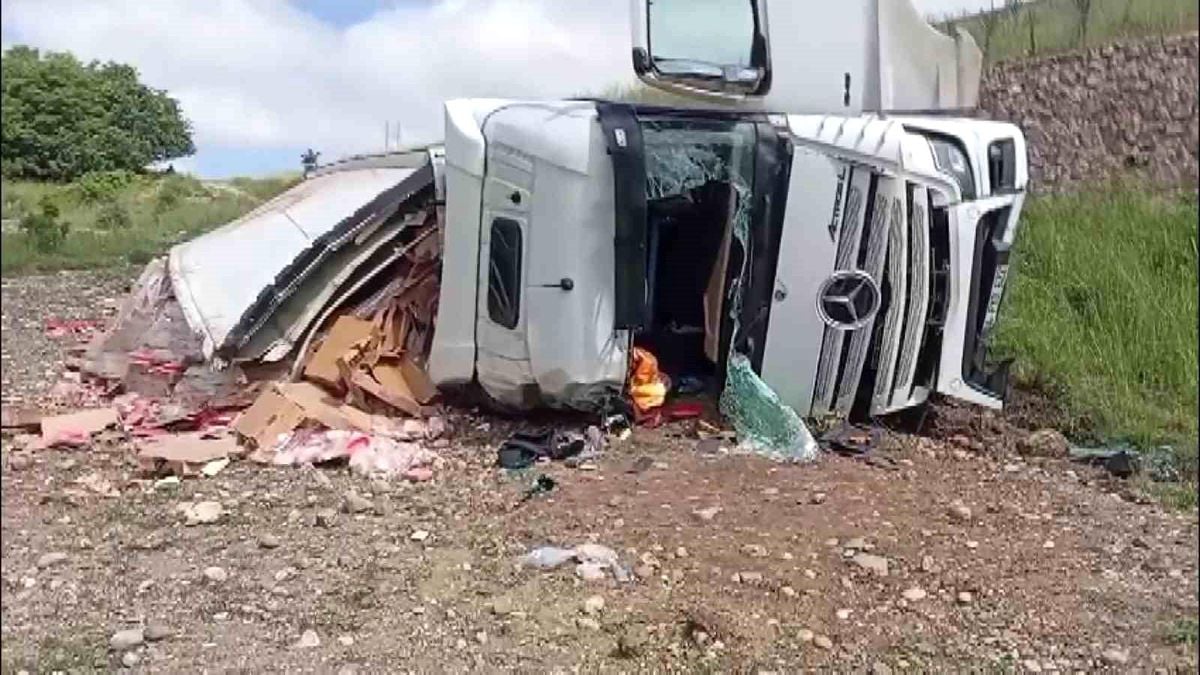 Amasya'da tavuk eti yüklü tır şarampole uçtu: 2 yaralı