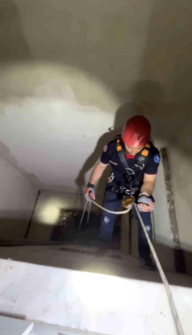 Apartman boşluğuna düşen yavru martı ekiplerce kurtarıldı
