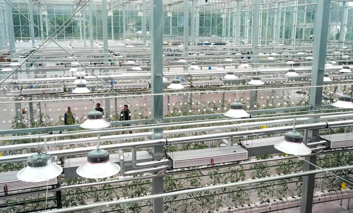 Çin, Tarımsal ve Kırsal Modernleşmeyi Hızlandırmaya Yönelik 5 Yıllık Plan Açıkladı