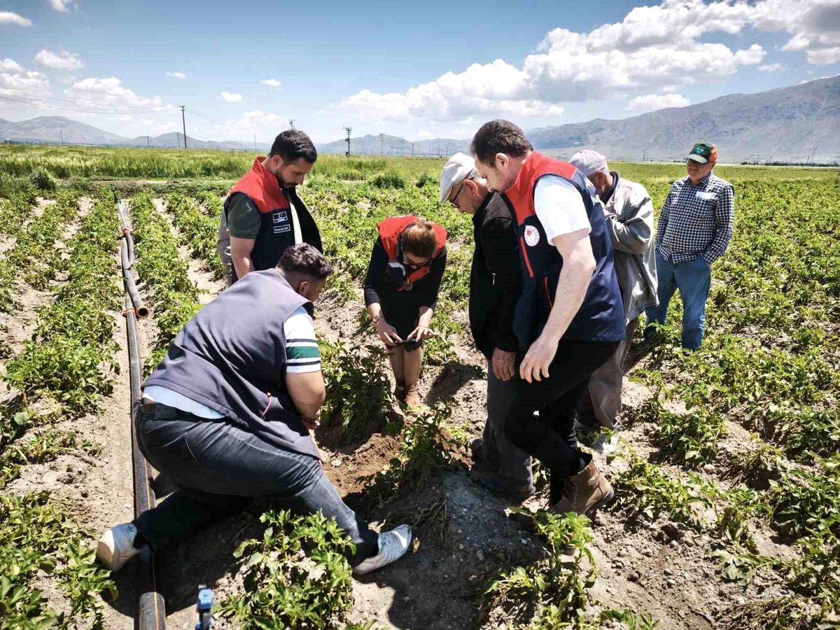 Dolu yağışı tarım alanlarına zarar verdi