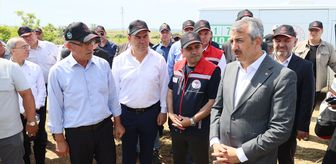 Edirne'de meralar üreticiye destek amaçlı ıslah ediliyor