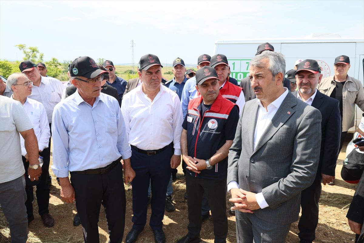 Edirne'de meralar üreticiye destek amaçlı ıslah ediliyor