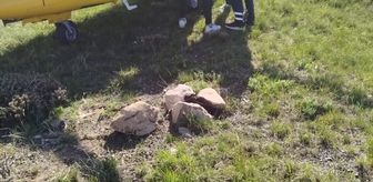 Erzurum'da çiriş otu toplarken kayalıklardan düşen kişi, ambulans helikopterle hastaneye kaldırıldı