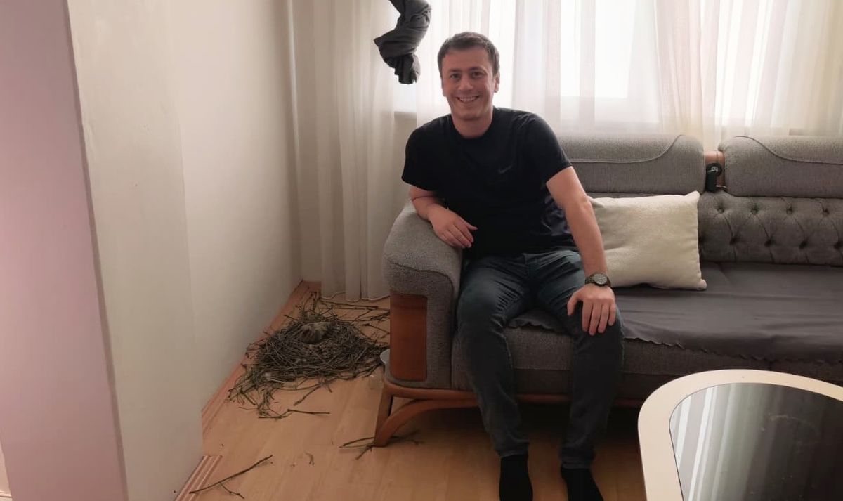 Evinin oturma odasına yuva yapan güvercinlere sahip çıktı