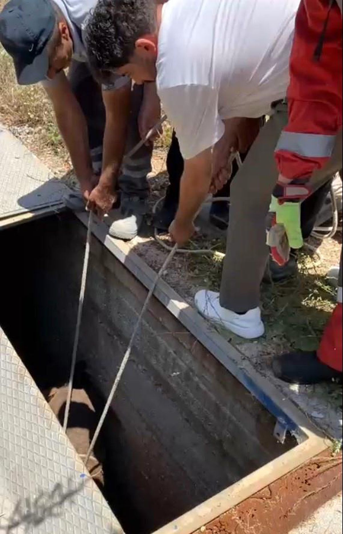 Havalandırma boşluğuna düşen eşek kurtarıldı