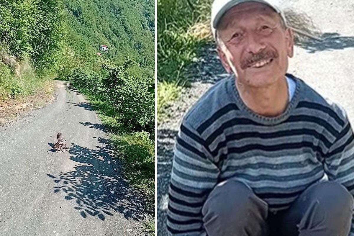 Yolda yürürken gördü, mutluluğu yüzüne yansıdı: Arçil ve Şota adını verdi