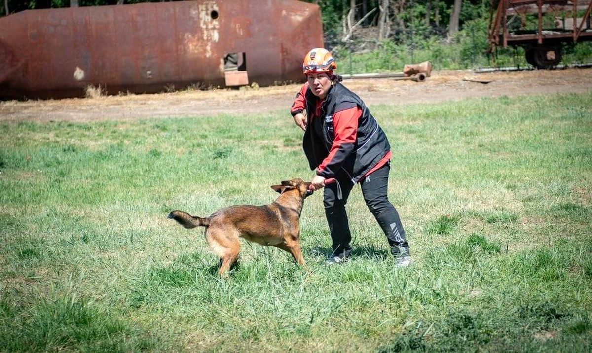 Muğla NAK Arama Kurtarma Köpekleri Macaristan'da sahaya indi