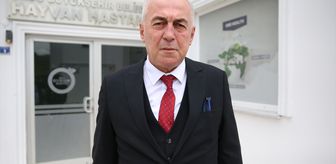 Ordu'da 7 yılda yaklaşık 25 bin sahipsiz hayvanın tedavisi ve bakımı yapıldı