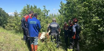 Sinop'ta ormanda ineği rahatsızlanan çiftçiye itfaiye, jandarma ve AFAD ekiplerinden yardım eli