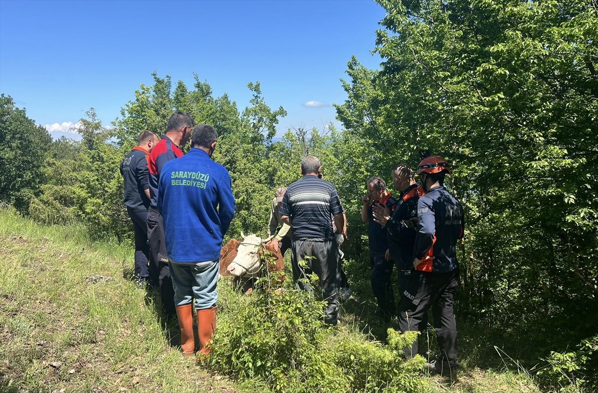 Sinop'ta ormanda ineği rahatsızlanan çiftçiye itfaiye, jandarma ve AFAD ekiplerinden yardım eli