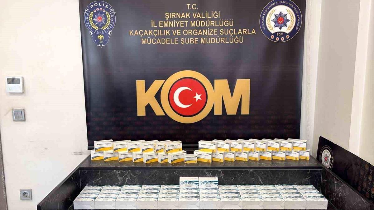 Şırnak'ta kaçak ilaç ve serum operasyonu: 2,5 milyon liralık tıbbi ürün ele geçirildi