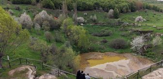 Sivas'ta Dipsiz Göl yağışların ardından sarı renge büründü