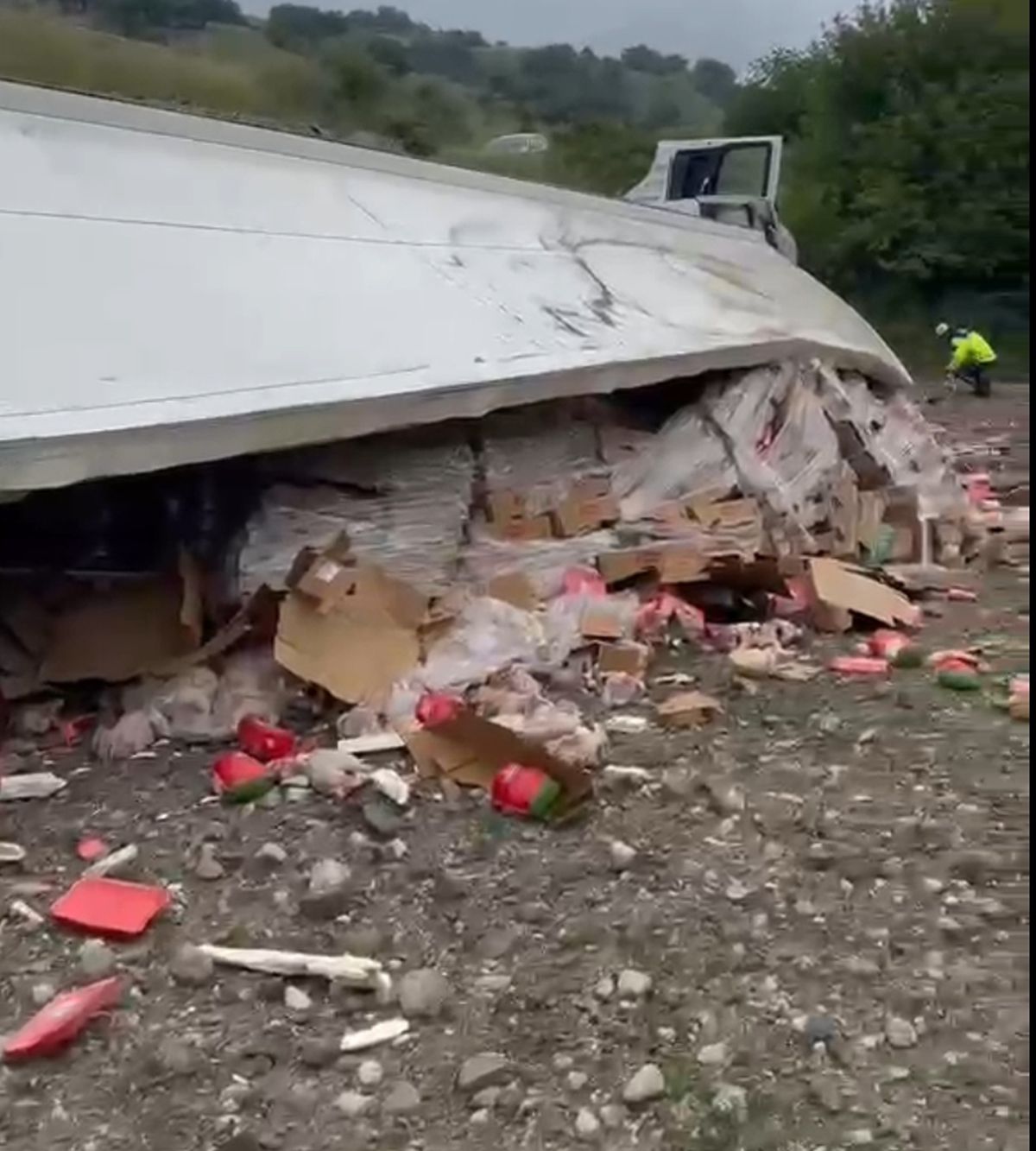 Tavuk eti yüklü TIR şarampole devrildi: 2 yaralı