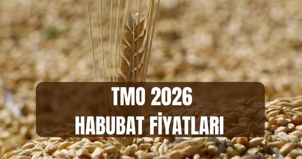 TMO HABUBAT FİYATLARI 2026: Buğday ve arpa alım-satım fiyatları ne kadar oldu? Habubat satışları ne zaman başlayacak?