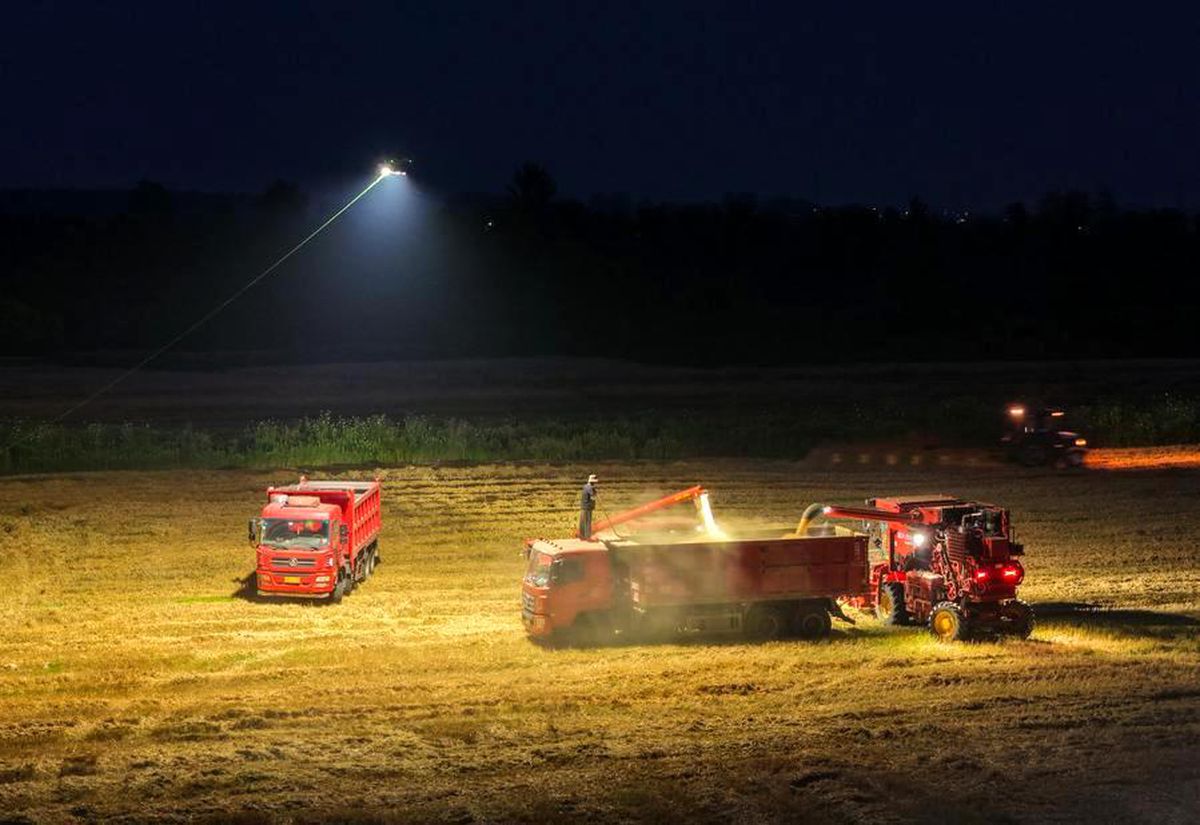 Albüm: Çinli Çiftçiler, Gece Hasadında Aydınlatma Dronelarından Yararlanıyor