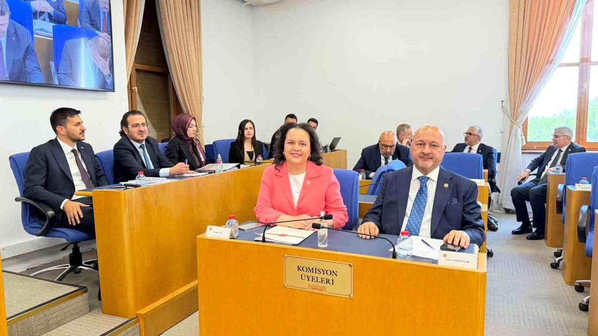 Emniyet, basın ve vergi ile ilgili düzenlemeleri içeren kanun teklifi Komisyon'da
