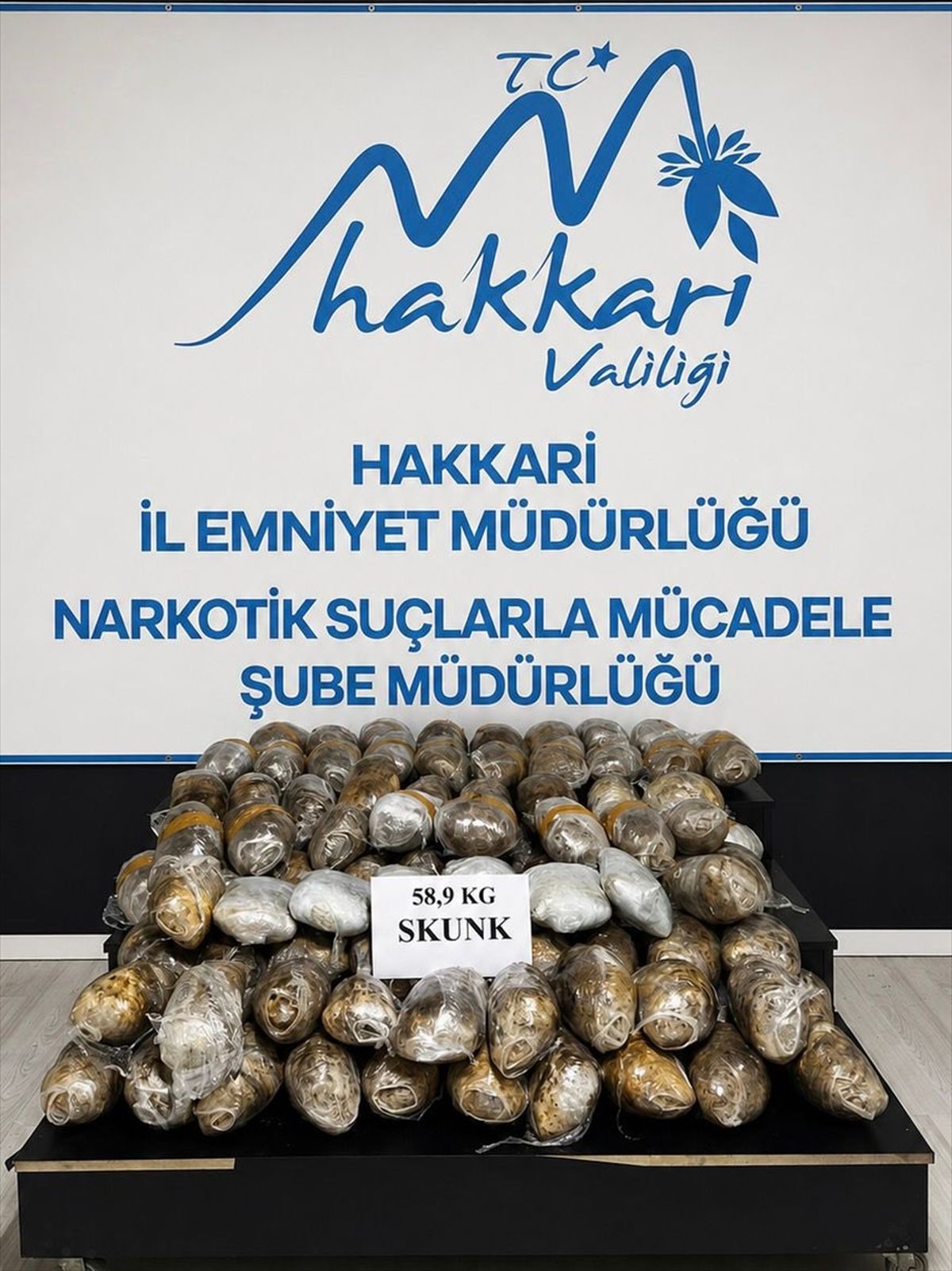 Hakkari'de 58 kilo 900 gram skunk ele geçirildi