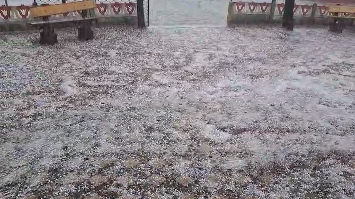 Ordu'da dolu yağışı etkili oldu