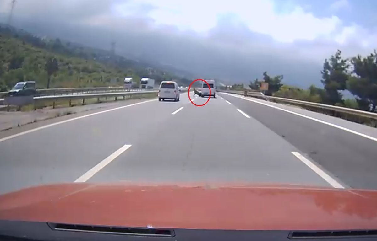 Otoyolda Angusa Çarpan Kamyonet Kaza Yaptı