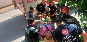 Samsun'da üzüm yaprağı toplarken sundurmanın üzerine düşen kişiyi itfaiye kurtardı