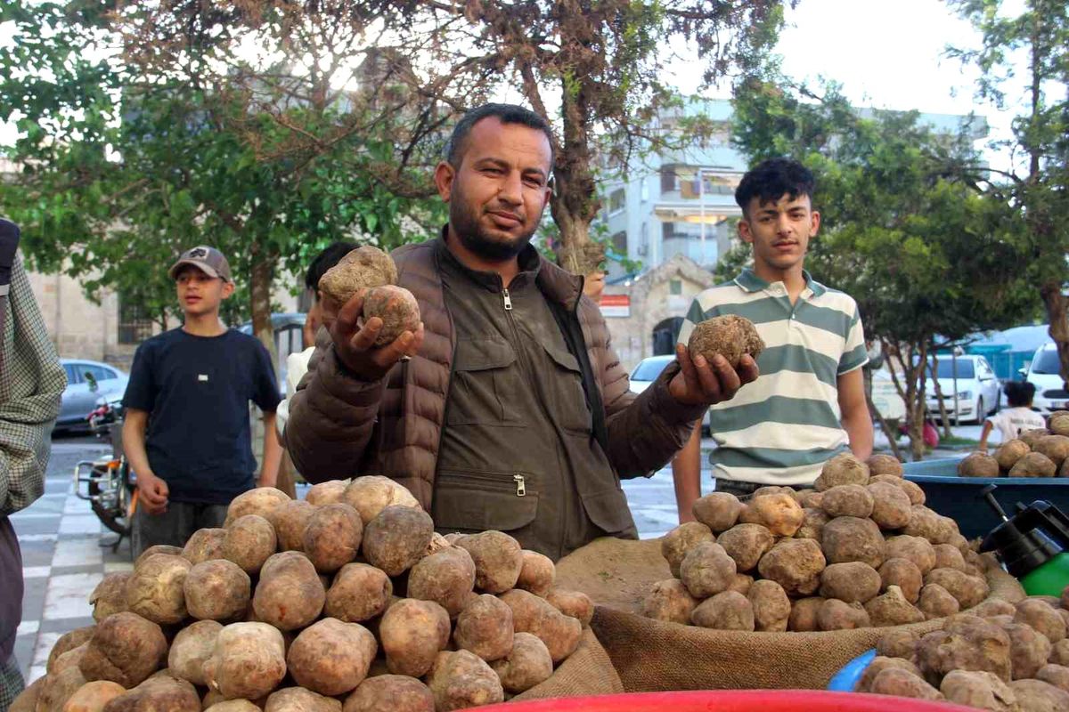 Şanlıurfa'nın vazgeçilmez lezzeti: Keme kebabı